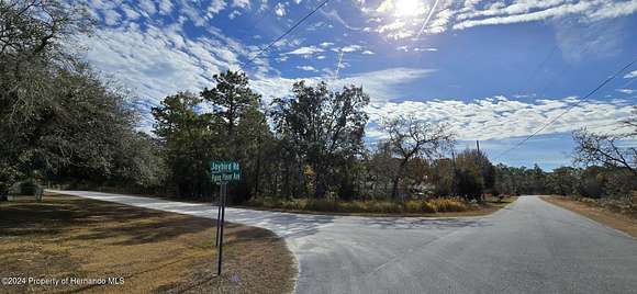 0.46 Acres of Residential Land for Sale in Weeki Wachee, Florida