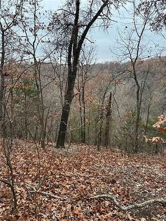 39.8 Acres of Recreational Land for Sale in Decatur, Arkansas