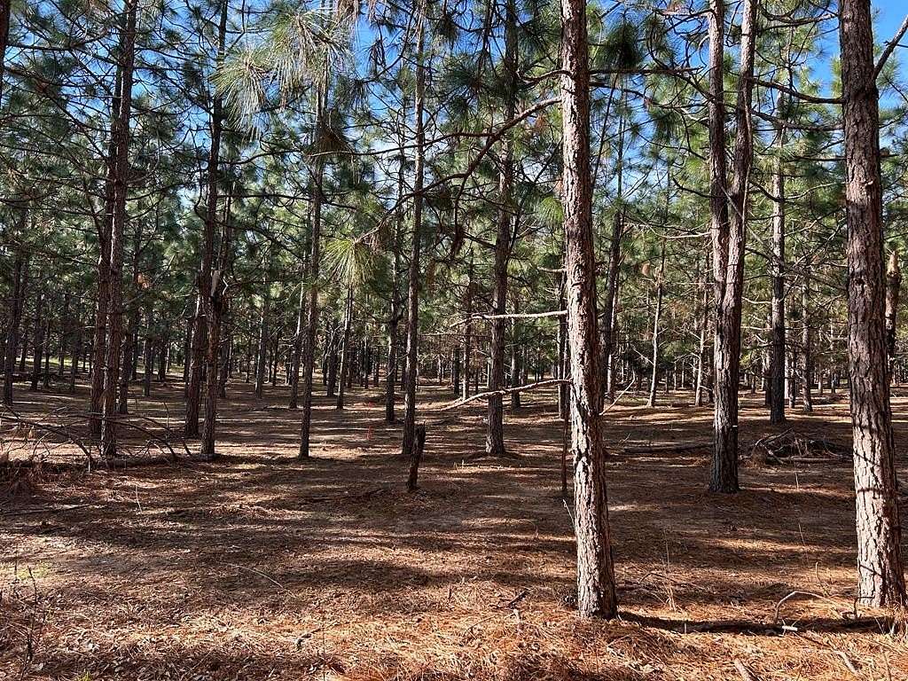 3 Acres of Residential Land for Sale in Headland, Alabama