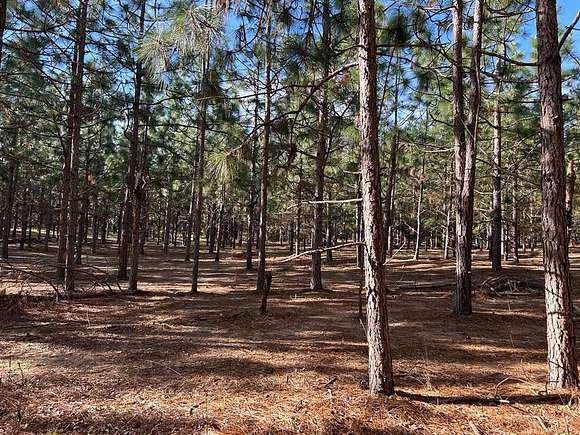 3 Acres of Residential Land for Sale in Headland, Alabama