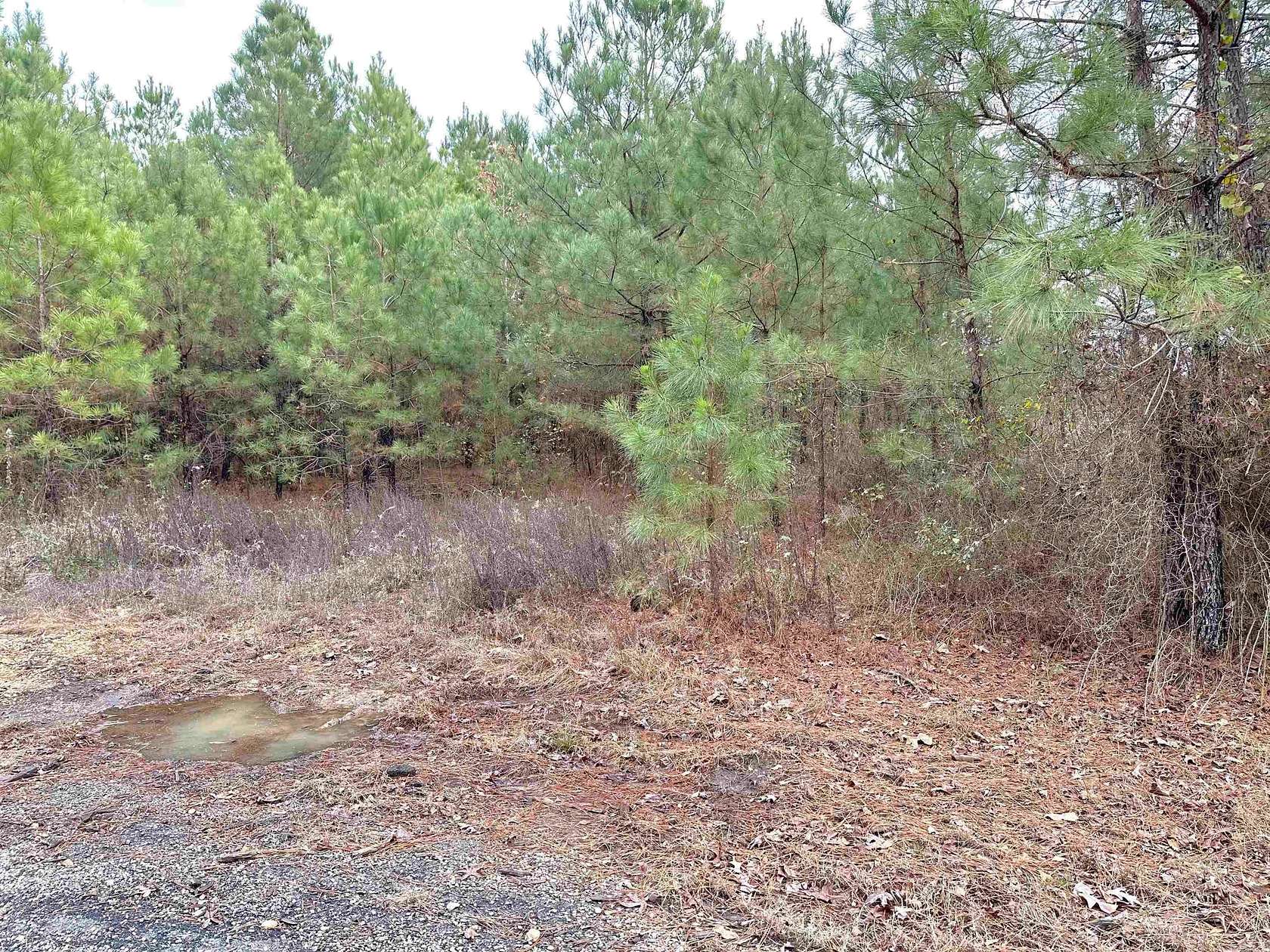 11.6 Acres of Land for Sale in Rison, Arkansas