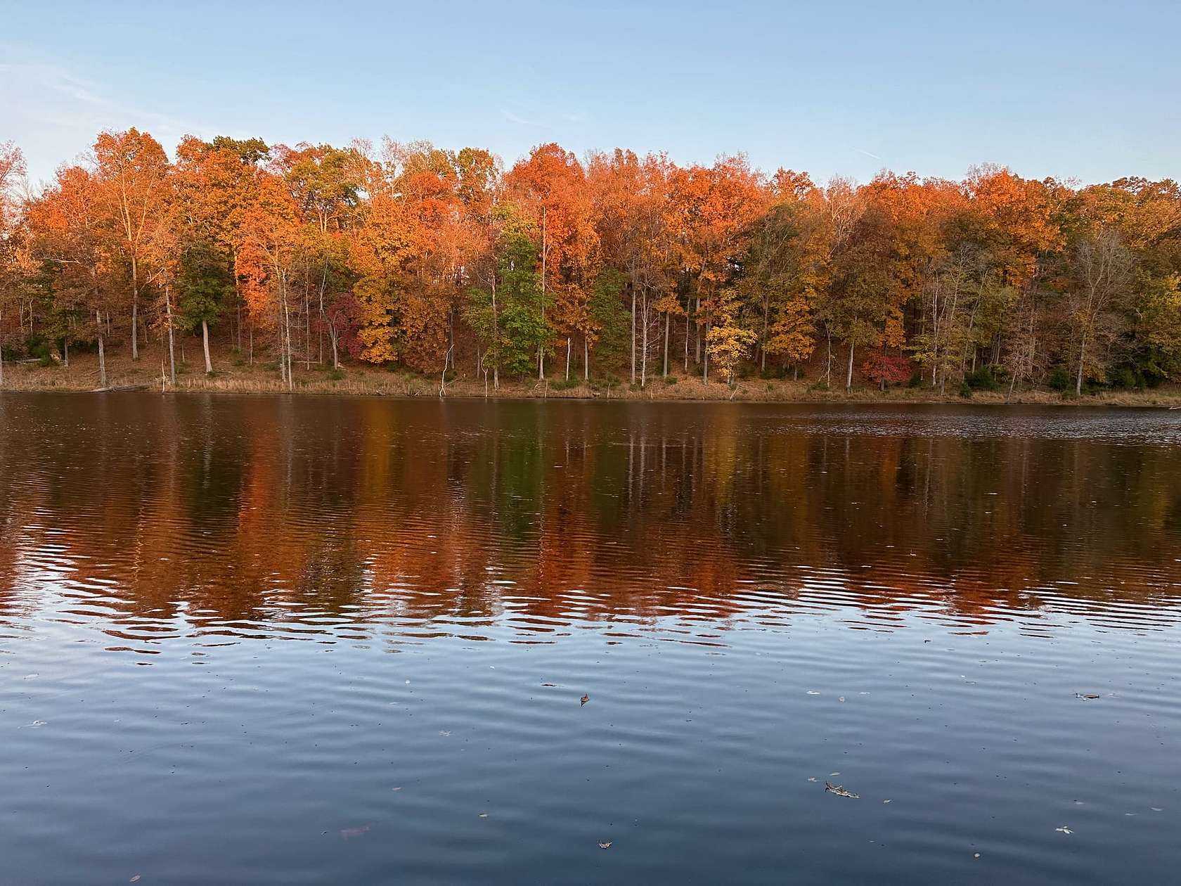 715 Acres of Land with Home for Sale in Cadiz, Kentucky