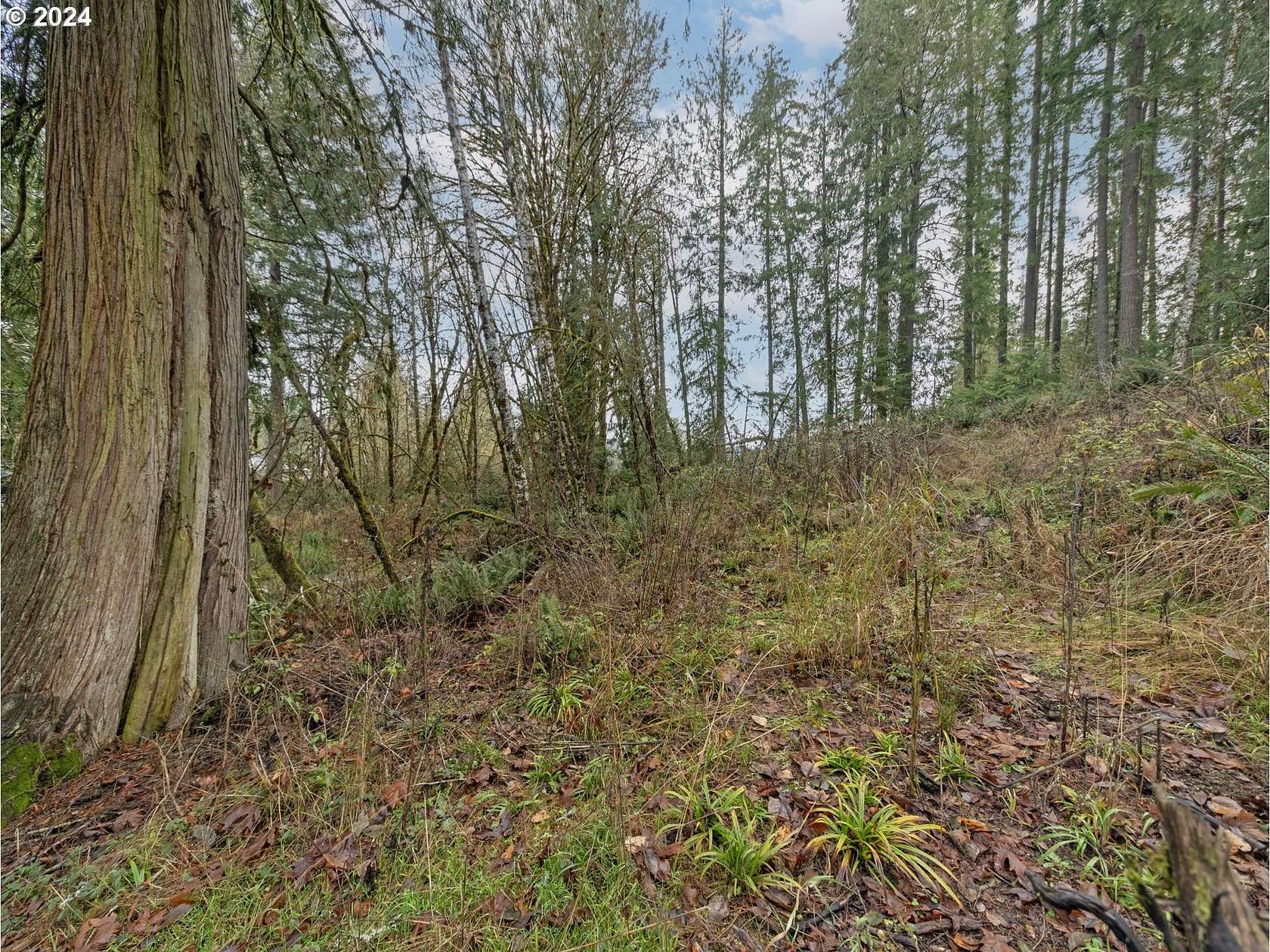 Residential Land for Sale in Vernonia, Oregon