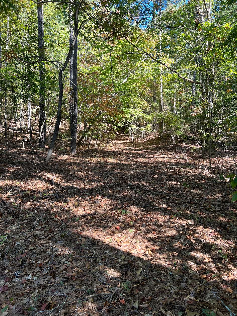 15 Acres of Recreational Land for Sale in Centreville, Alabama