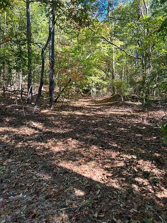 15 Acres of Recreational Land for Sale in Centreville, Alabama