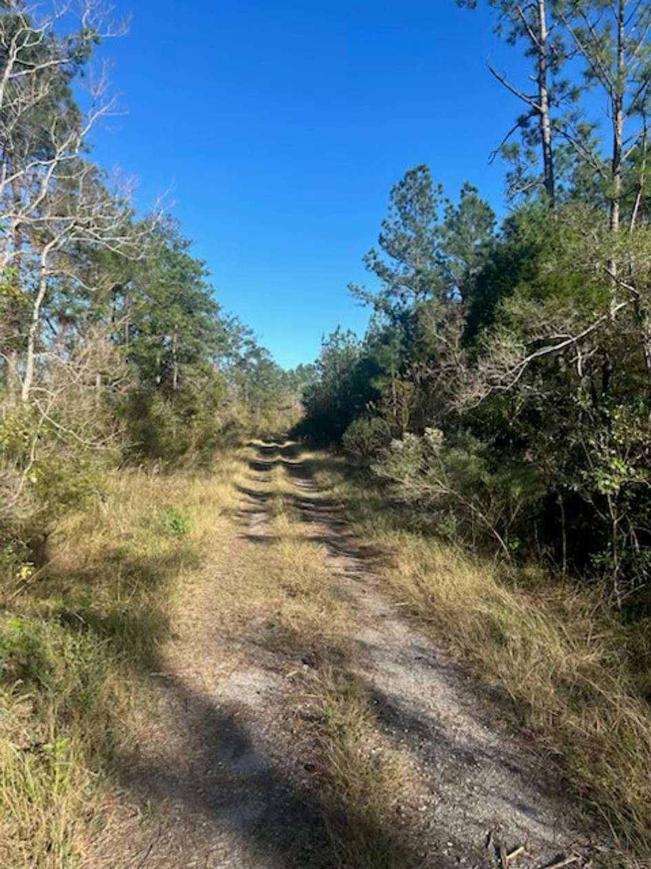 40 Acres of Recreational Land for Sale in Starks, Louisiana