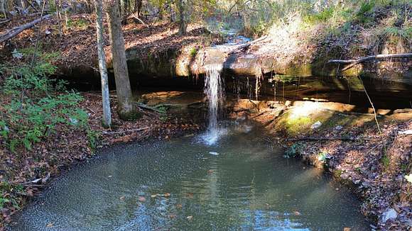 37 Acres of Recreational Land & Farm for Sale in Double Springs, Alabama