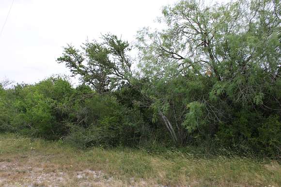 0.24 Acres of Residential Land for Sale in Sandia, Texas