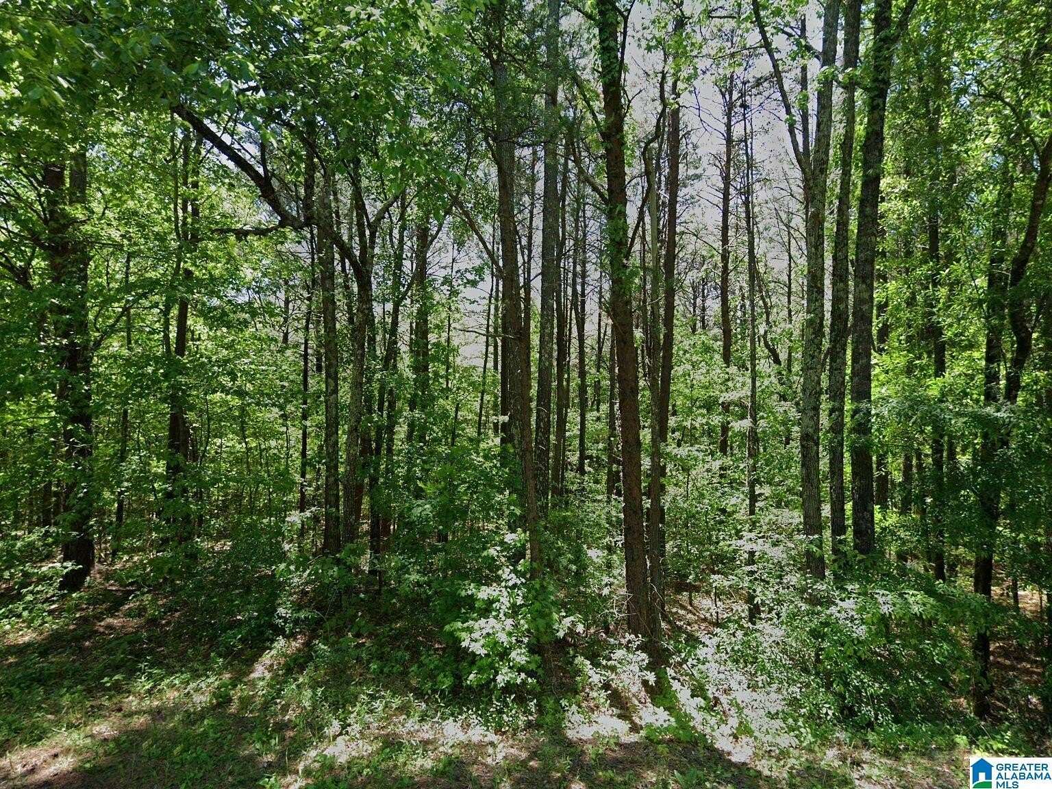 31 Acres of Recreational Land for Sale in Hueytown, Alabama