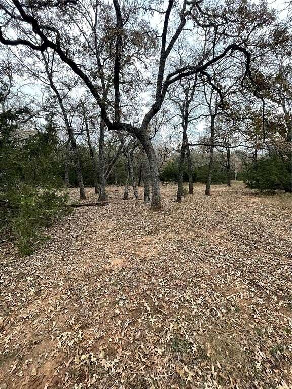 3 Acres of Land for Sale in Alvord, Texas