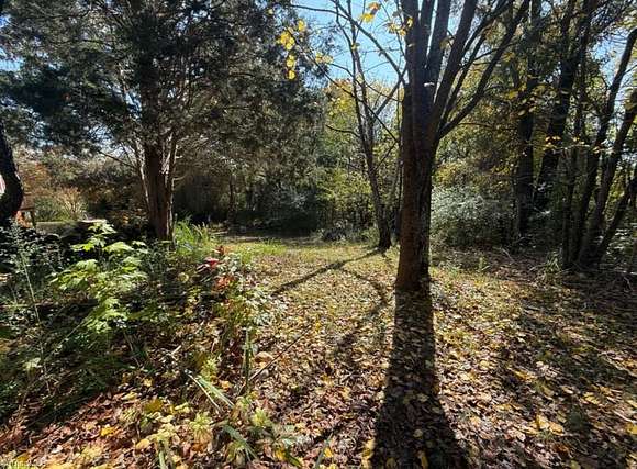 0.38 Acres of Residential Land for Sale in Reidsville, North Carolina