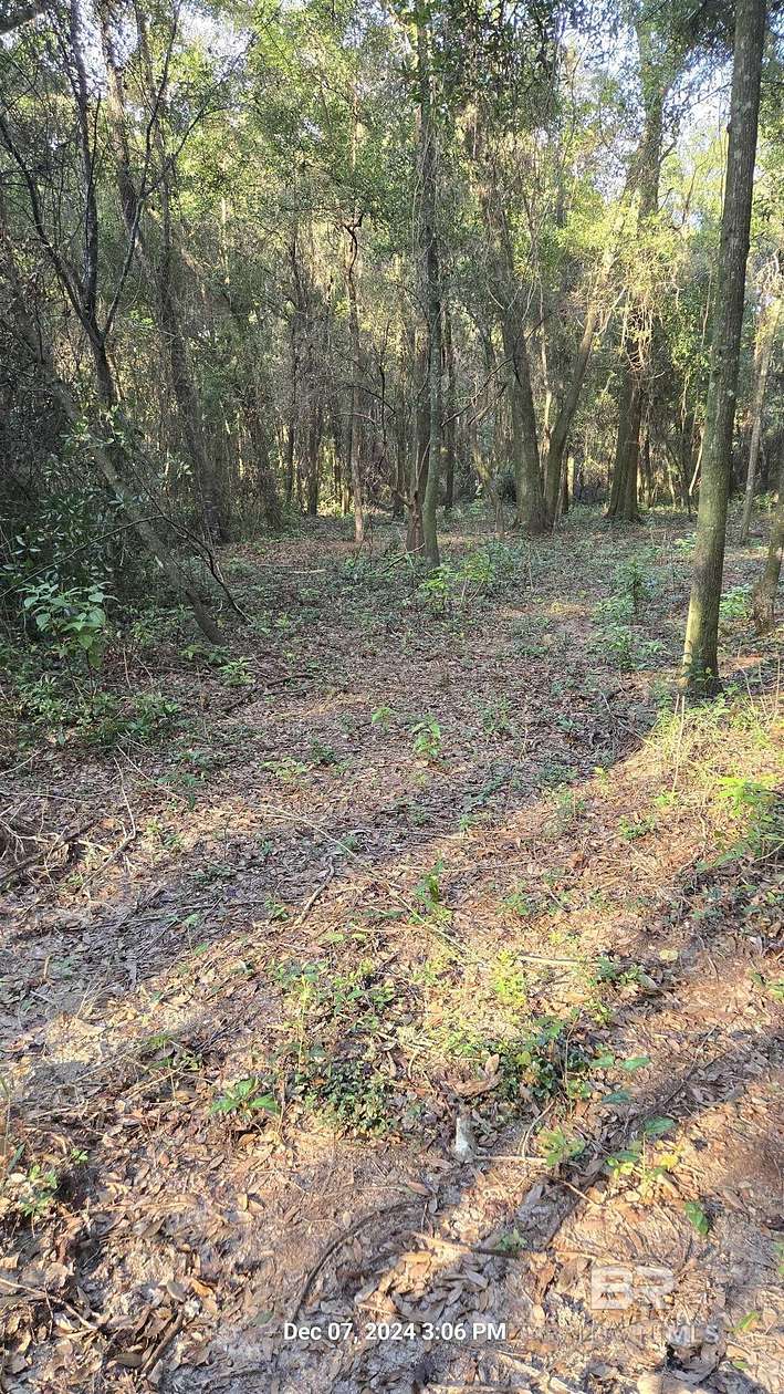 1 Acre of Residential Land for Sale in Fairhope, Alabama