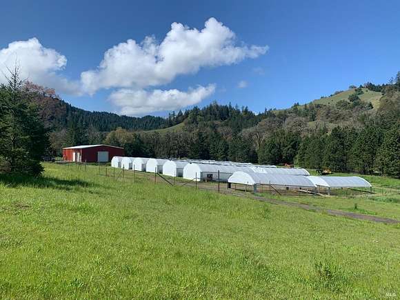 194.29 Acres of Agricultural Land with Home for Sale in Willits, California