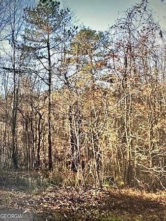 2 Acres of Residential Land for Sale in Chattahoochee Hills, Georgia