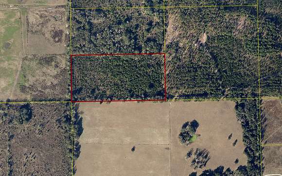 20 Acres of Land for Sale in Live Oak, Florida