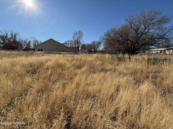 0.25 Acres of Residential Land for Sale in Springerville, Arizona