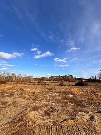 30 Acres of Land for Sale in Ailey, Georgia