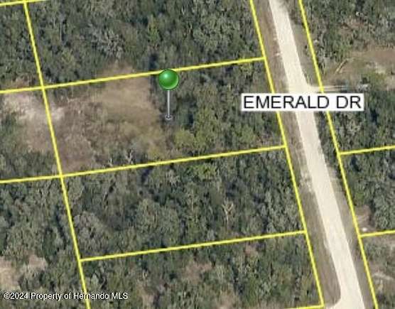 1.09 Acres of Residential Land for Sale in Ridge Manor, Florida