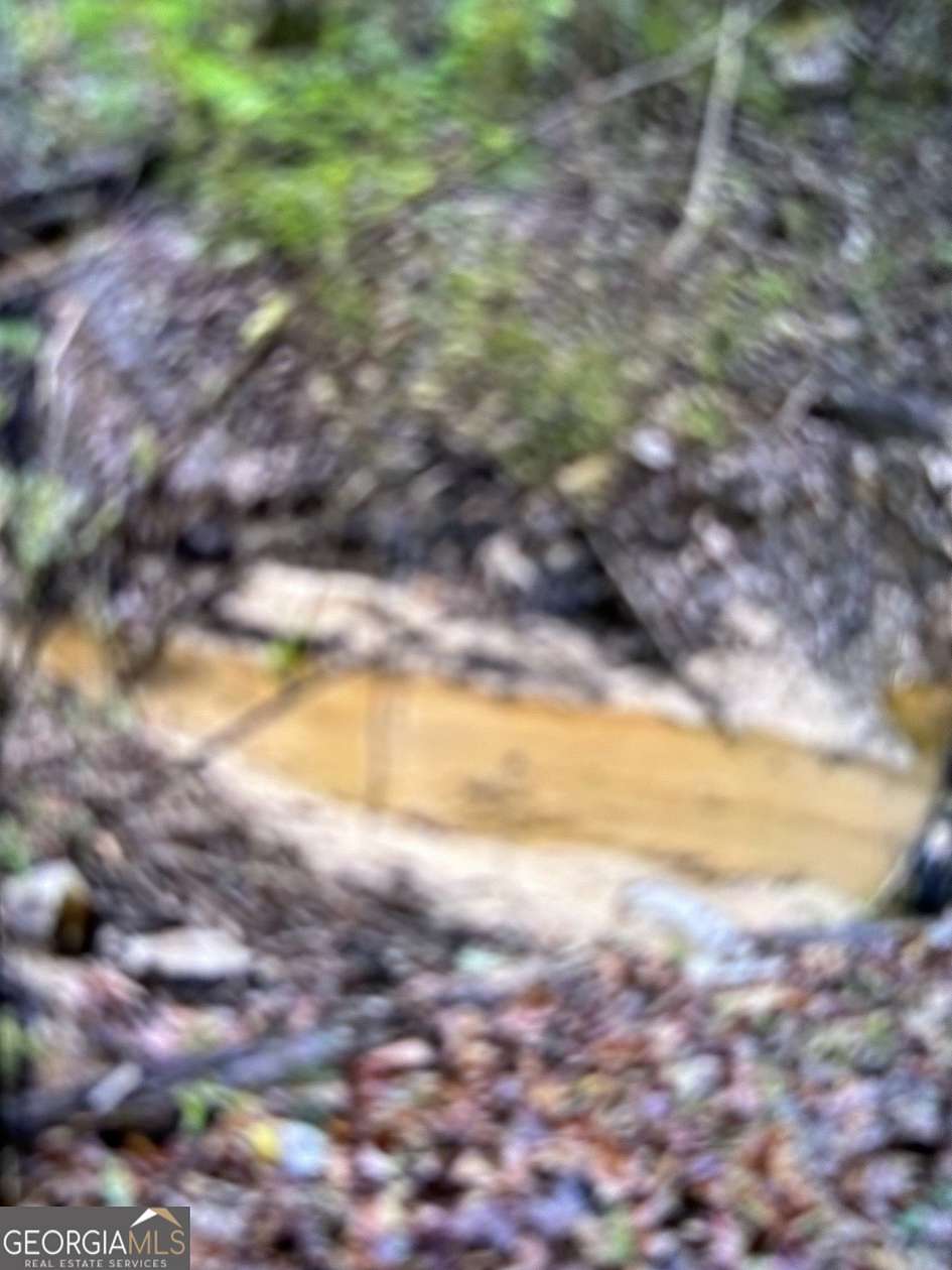 0.33 Acres of Land for Sale in Martin, Georgia