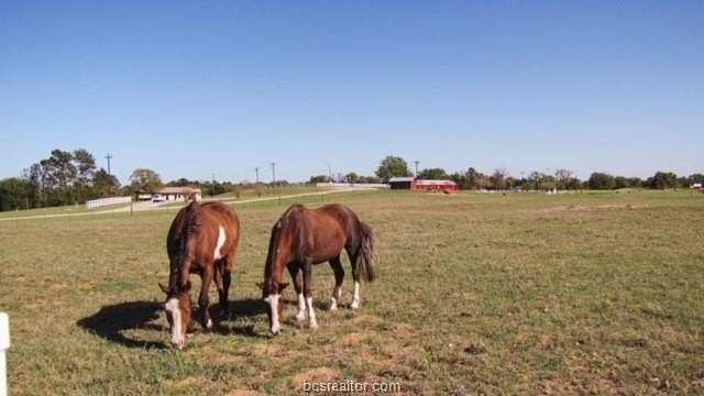 0.41 Acres of Residential Land for Sale in Hilltop Lakes, Texas