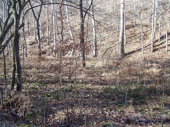 50.81 Acres of Recreational Land for Sale in Creston, West Virginia