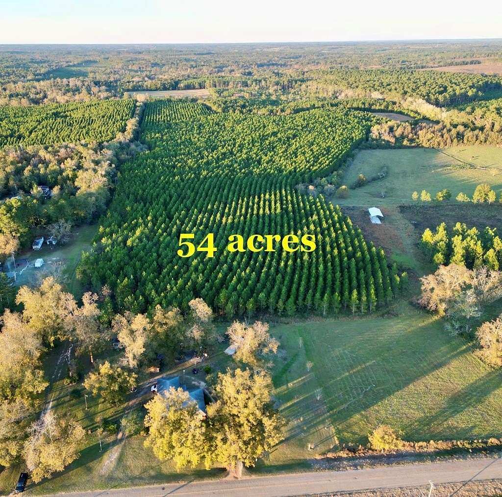 54.47 Acres of Land for Sale in Columbia, Alabama