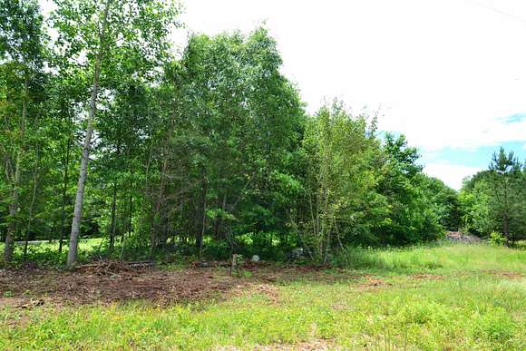 12 Acres of Land for Sale in Campobello, South Carolina