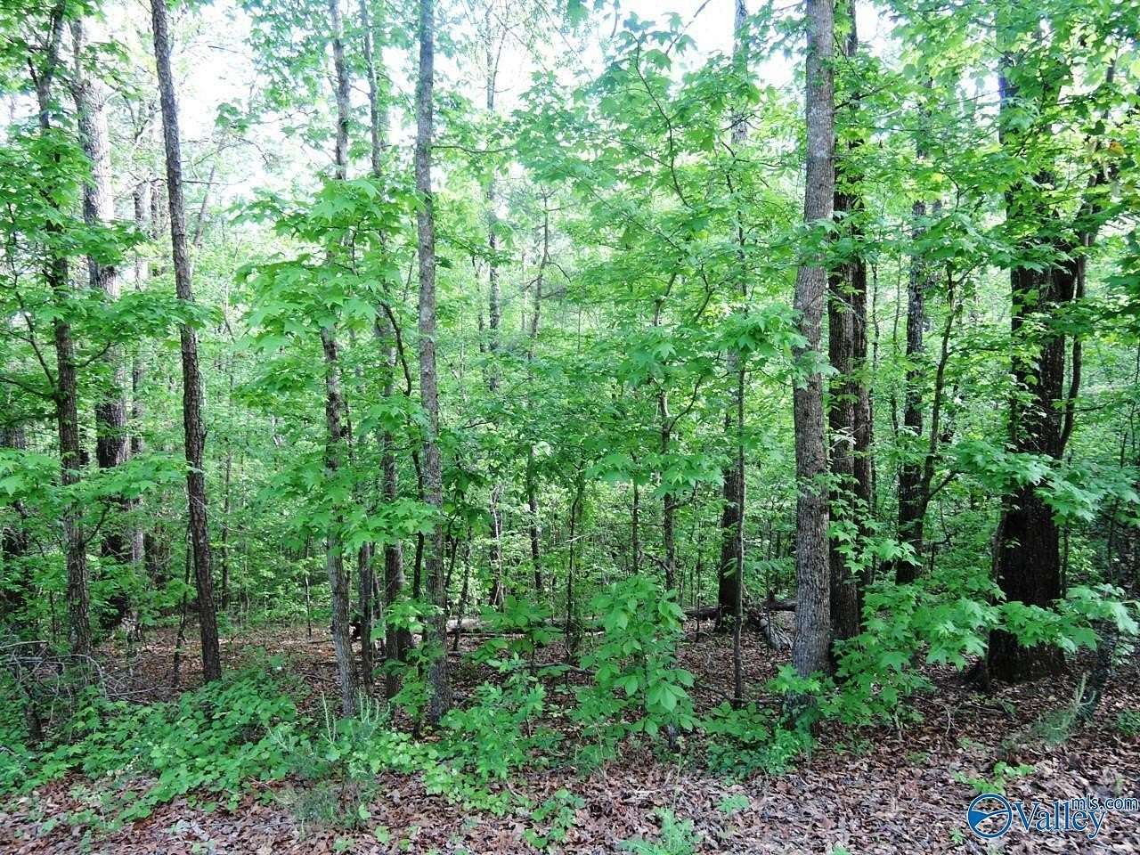 5.6 Acres of Residential Land for Sale in Jasper, Alabama