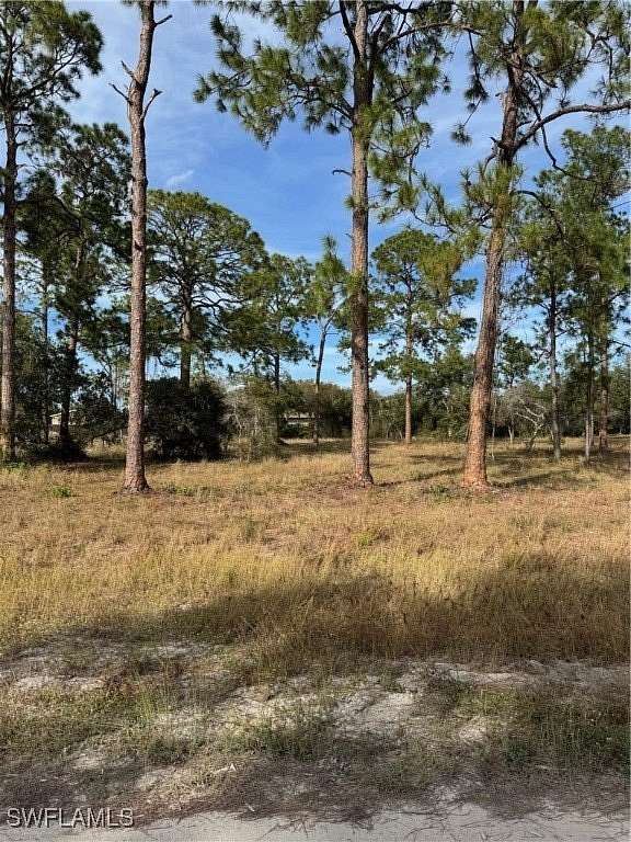 1.25 Acres of Residential Land for Sale in LaBelle, Florida