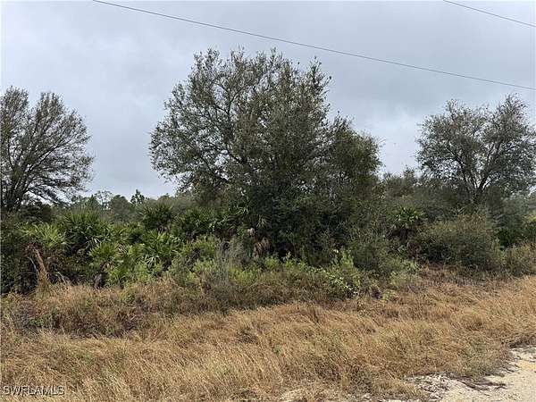 1.25 Acres of Land for Sale in LaBelle, Florida