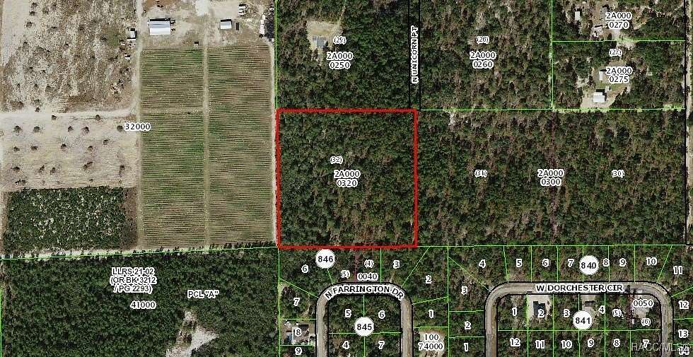 10.08 Acres of Recreational Land for Sale in Dunnellon, Florida