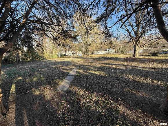 0.29 Acres of Residential Land for Sale in Hurst, Illinois