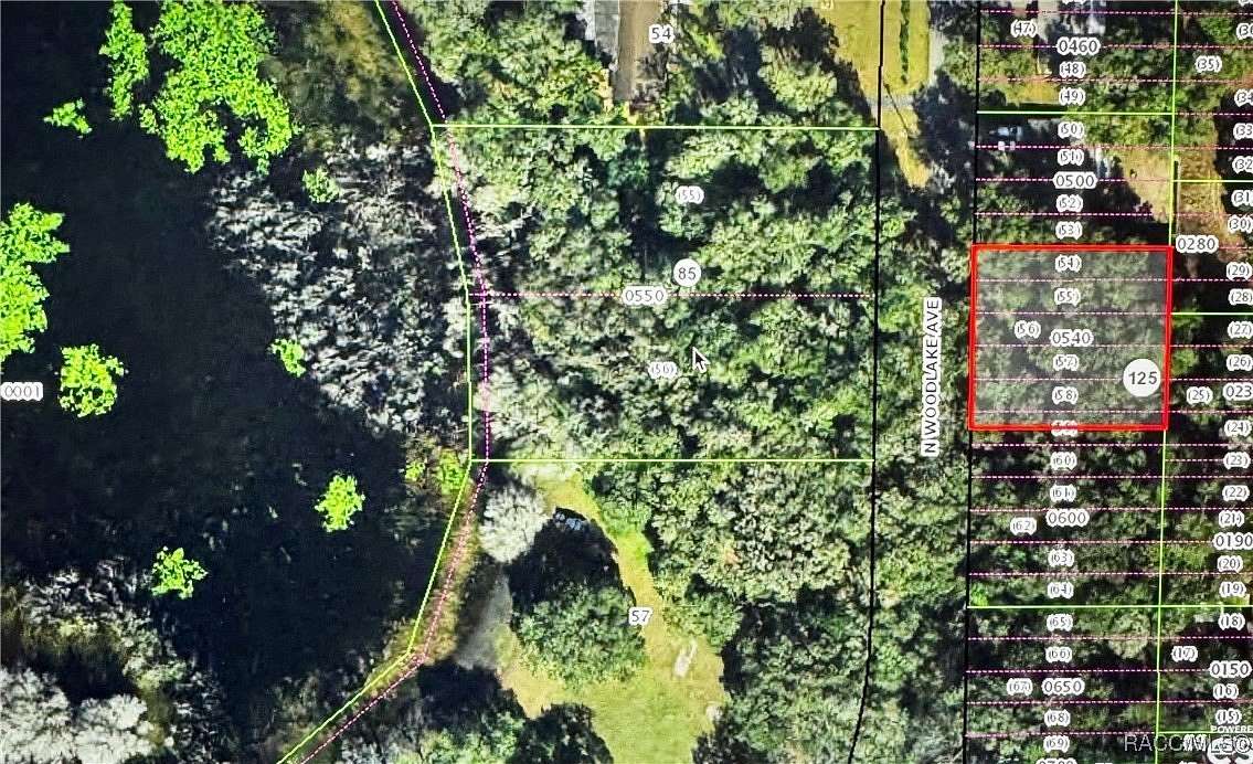 0.3 Acres of Residential Land for Sale in Inverness, Florida