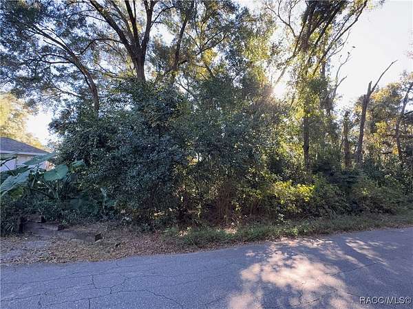 0.3 Acres of Residential Land for Sale in Inverness, Florida