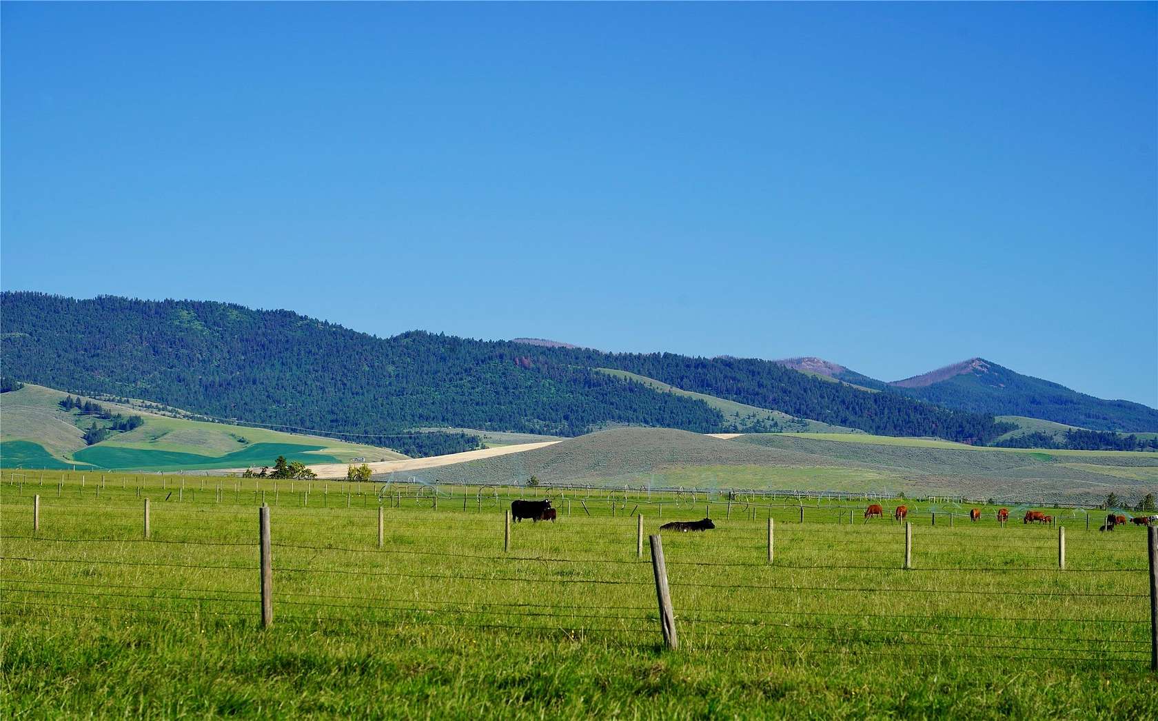 30 Acres of Land for Sale in Stevensville, Montana