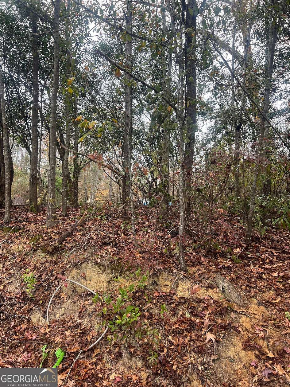 0.17 Acres of Land for Sale in Ivey, Georgia