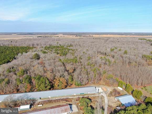 16.75 Acres of Land for Sale in Frankford, Delaware