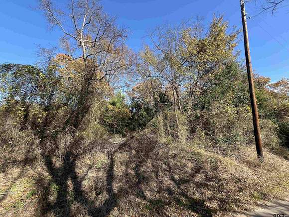 8.045 Acres of Land for Sale in Tennessee Colony, Texas