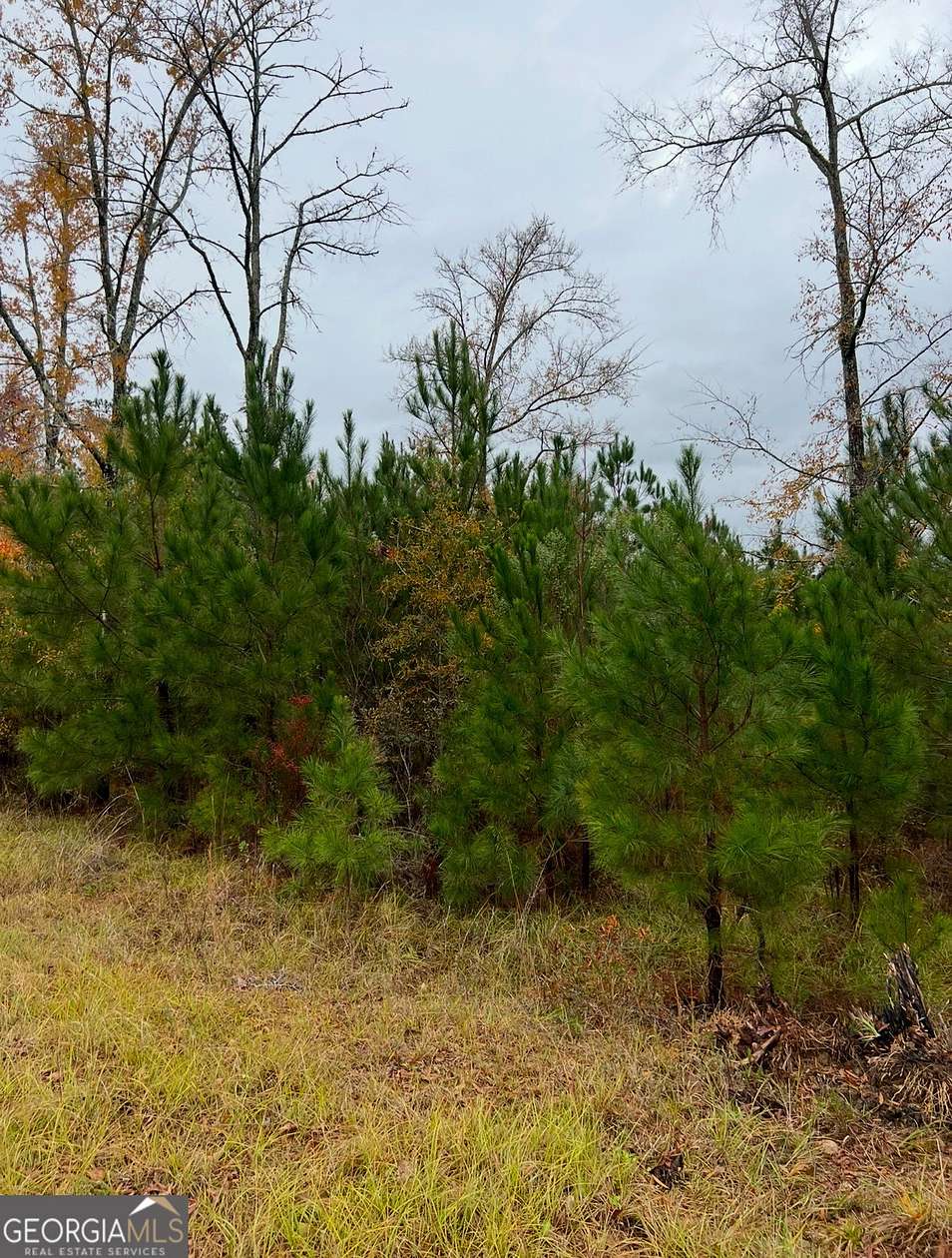 0.49 Acres of Residential Land for Sale in Lizella, Georgia