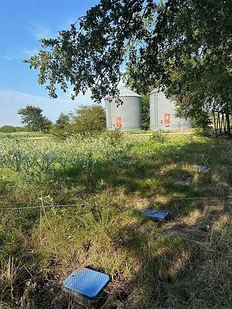 45.6 Acres of Recreational Land for Sale in Farmersville, Texas