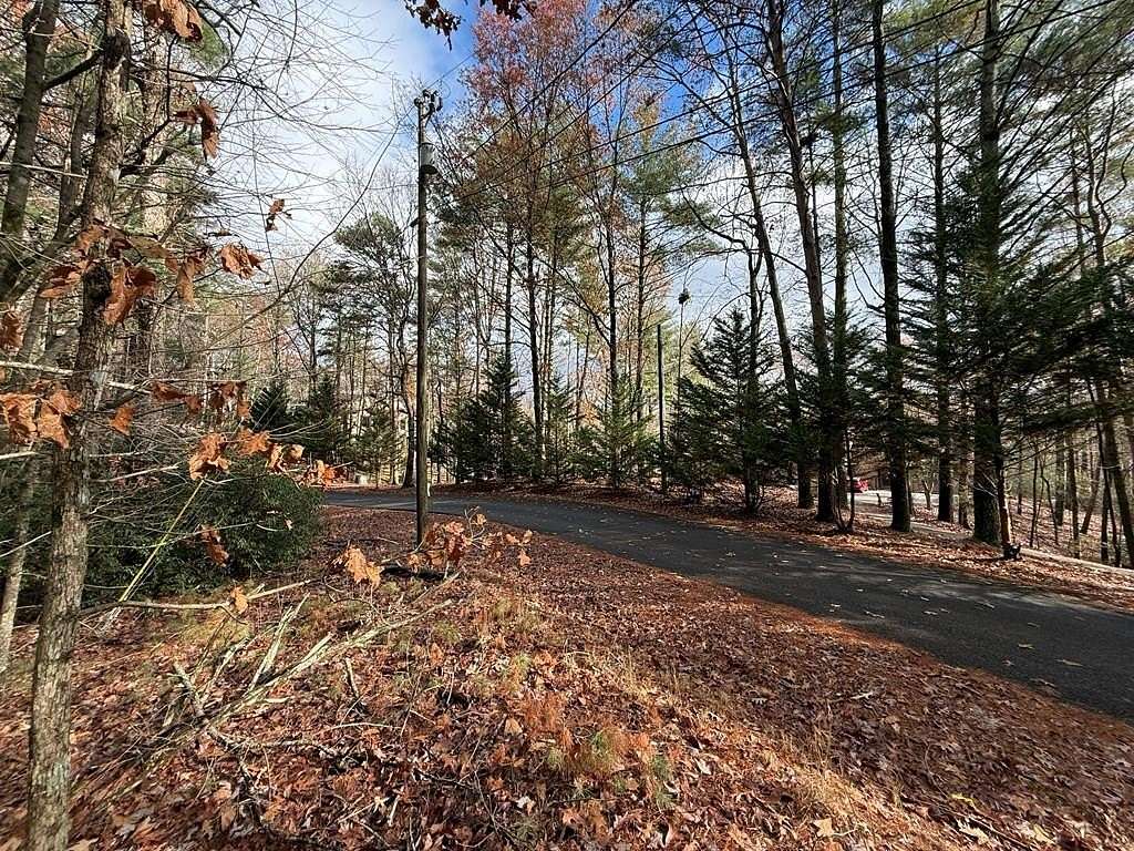 0.75 Acres of Residential Land for Sale in Ellijay, Georgia