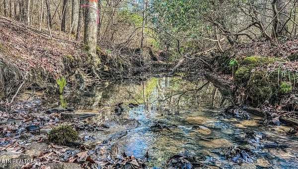 12.5 Acres of Recreational Land for Sale in Deer Lodge, Tennessee