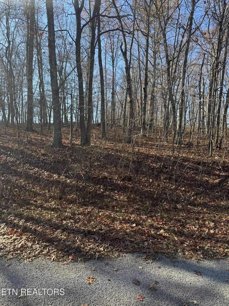 0.25 Acres of Residential Land for Sale in Crossville, Tennessee