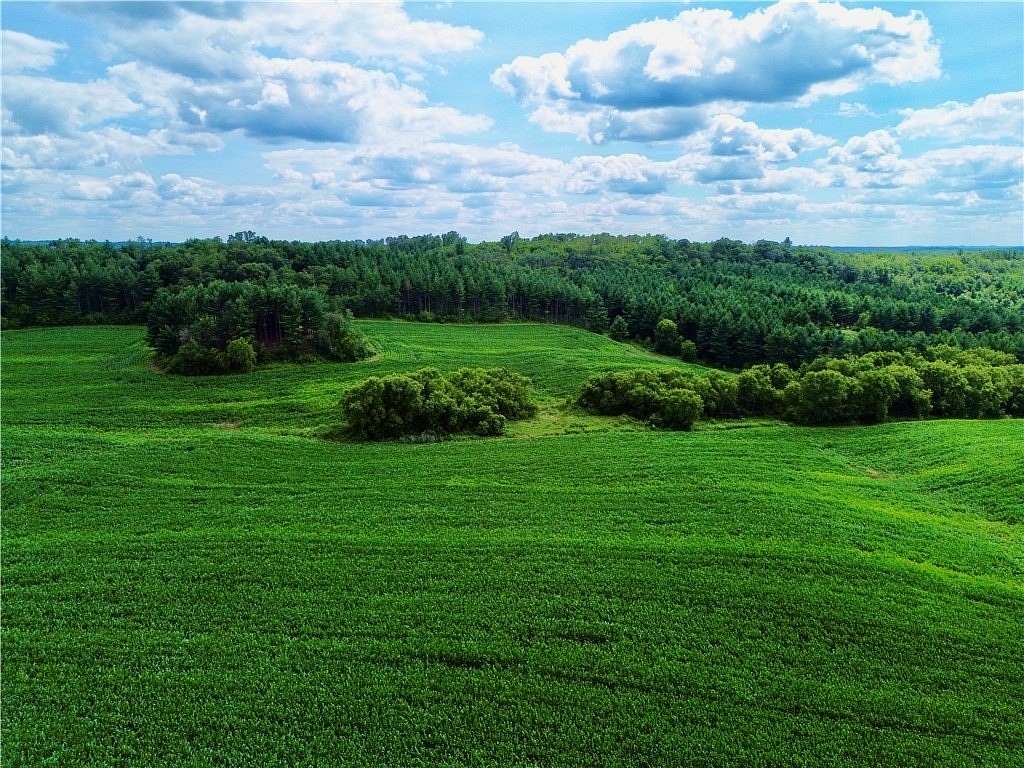 49.3 Acres of Land for Sale in Osseo, Wisconsin