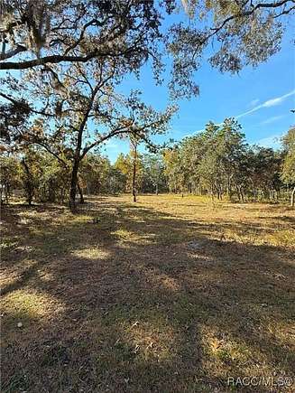 1.25 Acres of Residential Land for Sale in Homosassa, Florida