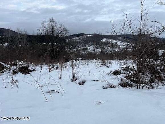 11.99 Acres of Land for Sale in Summit, New York