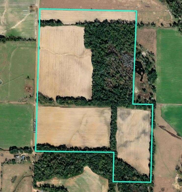 105 Acres of Land for Sale in Iron City, Georgia