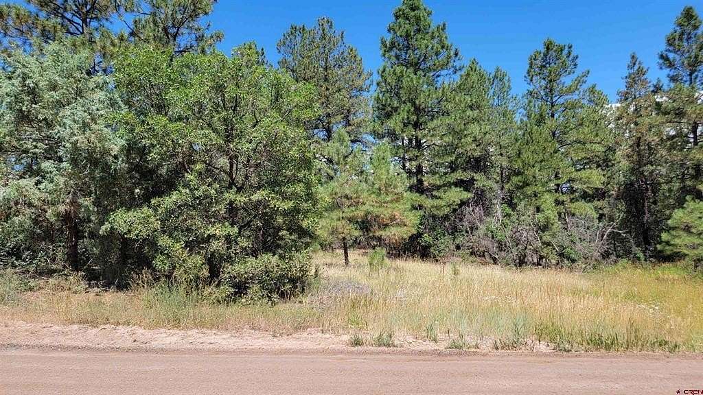 1.01 Acres of Residential Land for Sale in Pagosa Springs, Colorado