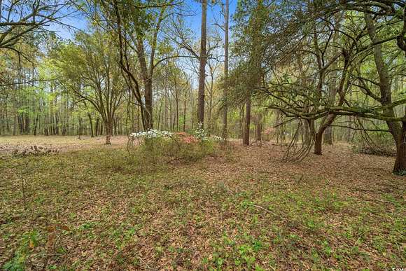 3.81 Acres of Residential Land for Sale in Manning, South Carolina