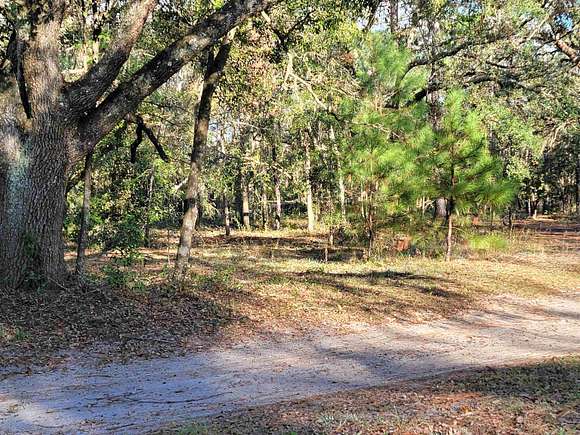 8.47 Acres of Residential Land for Sale in Perry, Florida